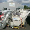 WHITE SHARK 175